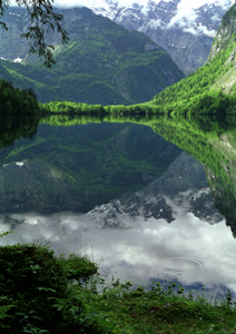 HASSELBLAD XPAN 4/45